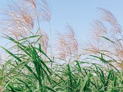 -千龙湖生态旅游度假区