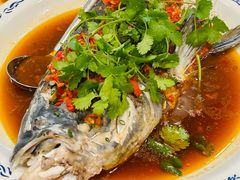 -旭龙鱼头王(航华店)