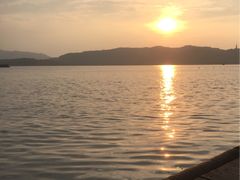 -西湖外事游船(花港观鱼码头)