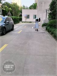 -上海交通大学医学院附属上海儿童医学中心(陆家嘴总院区)