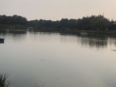 -尚贤河湿地