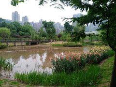 -沐仙湖湿地公园
