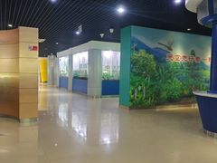 -上海昆虫博物馆