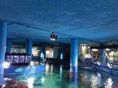 -暹罗海洋世界