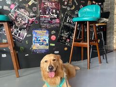 -My Way Town买味堂·东南亚餐厅(亦庄店)