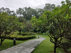 -南宁荔园维景国际酒店·荔园中餐厅
