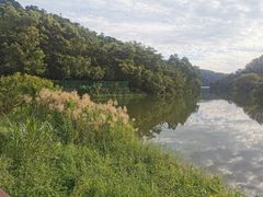 -梧桐山风景名胜区