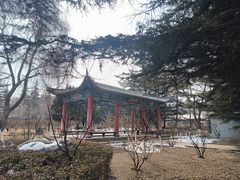 -金城公园