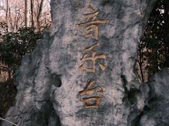 -音乐台