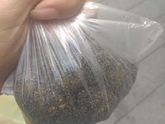 -叶氏麻糍(鼓浪屿店)