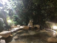-天目湖涵田半山温泉