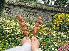 -奎星楼街