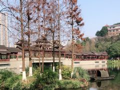 -重庆彩云湖湿地公园