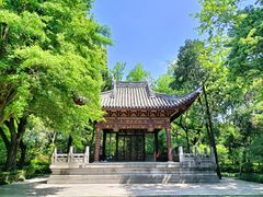 -汇龙潭