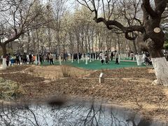-睦南公园