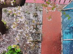 -上海南浦大桥长途旅游客运站
