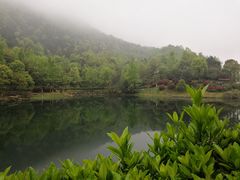 -桃花岭景区