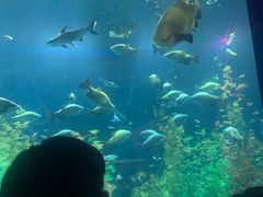 -皇家极地海洋世界-售票处