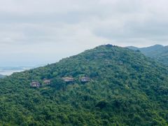 -亚龙湾热带天堂森林公园