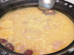 -洪氏嗨捞·广东猪肚鸡·椰子鸡火锅(西咸万象城店)