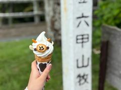 -神户市立六甲山牧场