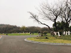 -羊山湖公园