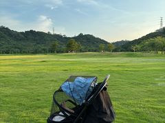 -风云岭森林公园