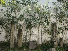 -豫园