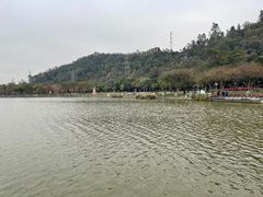 -顺峰山公园