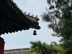 -白云观