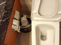 -深圳观澜格兰云天国际酒店