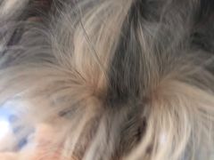 -BABYDOG宝贝狗宠物乐园(欧洲城店)