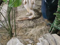 -海合安武汉极地海洋公园
