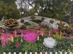 -上海共青森林公园