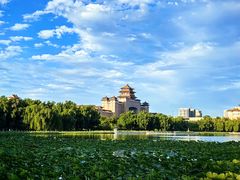 -莲花池公园
