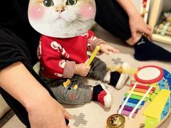 -Lilliput粒粒堡亲子餐厅(置汇旭辉店)