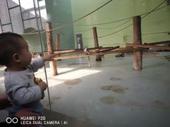 -太原动物园