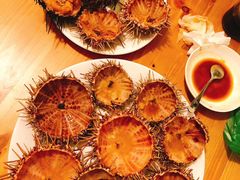 -海胆小馆(东北水饺·春柳店)