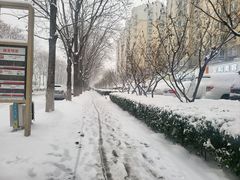 -金掌勺东北菜(格兰晴天店)