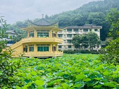 -地心探险极地