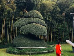 -苏州河梦清园环保主题公园