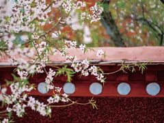 -桃花岛风景旅游区