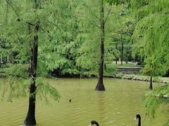 -广州市白云山风景名胜区