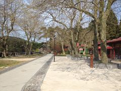 景点-庐山风景区花径公园