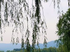 -国家植物园
