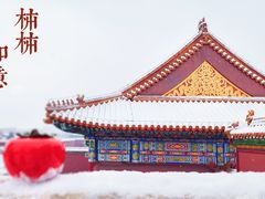 -故宫博物院(故宫)