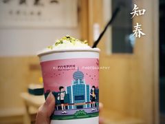 不知春-一杯潮茶·专注潮汕茶饮(朝阳庄店)