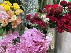 -植物学家的女儿(北马道巷店)