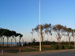 -东疆建设开发纪念公园