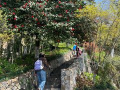 -莫干山风景区